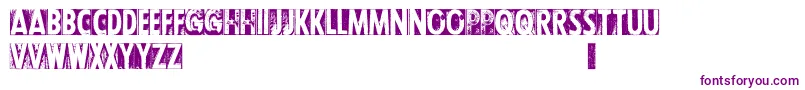 Police CfletterpresstypepersonalR – polices violettes sur fond blanc
