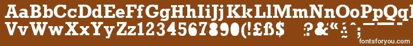 Prounb Font – White Fonts on Brown Background