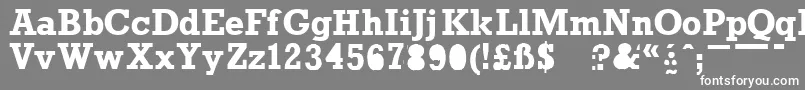 フォントProunb – 灰色の背景に白い文字