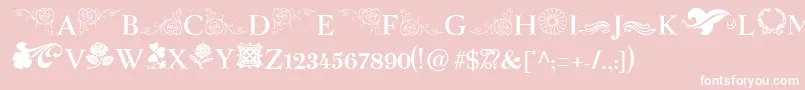 SpringFlowerDingbats Font – White Fonts on Pink Background