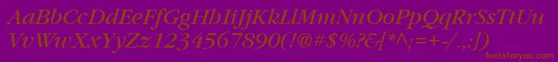 Vaniel3Italic Font – Brown Fonts on Purple Background