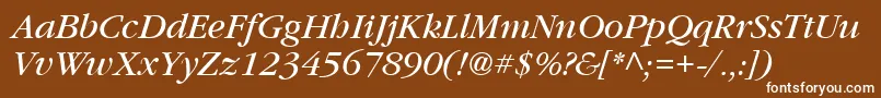 フォントVaniel3Italic – 茶色の背景に白い文字