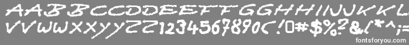 フォントQuast – 灰色の背景に白い文字