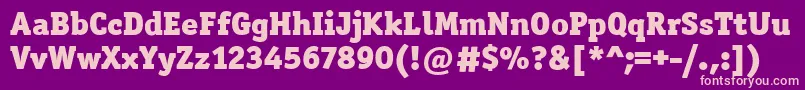 OfficinaSerItcBlack Font – Pink Fonts on Purple Background