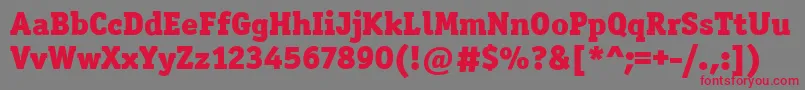 OfficinaSerItcBlack Font – Red Fonts on Gray Background