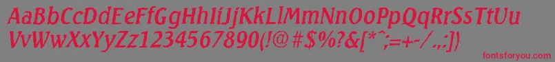 フォントSeagullantiqueItalic – 赤い文字の灰色の背景