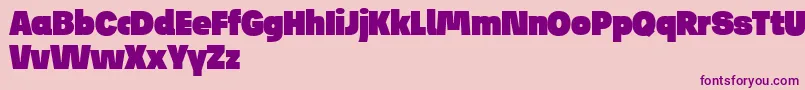 JosefReducedUltra Font – Purple Fonts on Pink Background