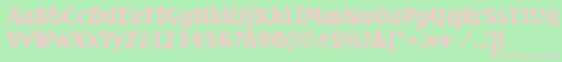 フォントSeagullBold – 緑の背景にピンクのフォント