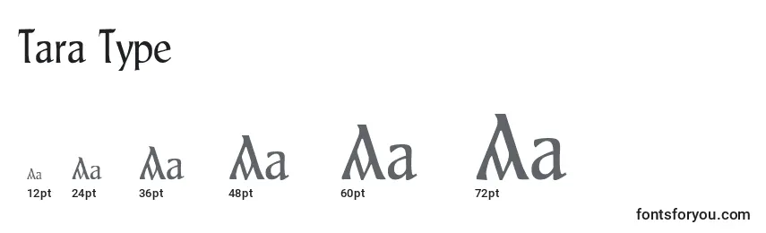 Размеры шрифта Tara Type