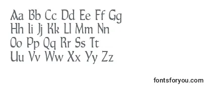 Обзор шрифта Tara Type