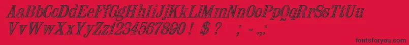 NauertItalic Font – Black Fonts on Red Background