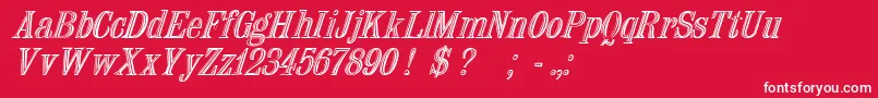 NauertItalic Font – White Fonts on Red Background