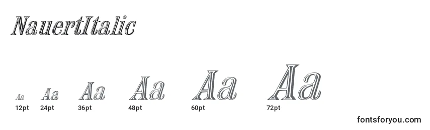 Размеры шрифта NauertItalic