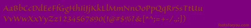 Шрифт SanvitoproSemiboldsubh – коричневые шрифты на фиолетовом фоне
