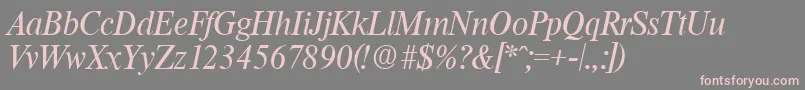 ThamesSerialRegularitalicDb Font – Pink Fonts on Gray Background