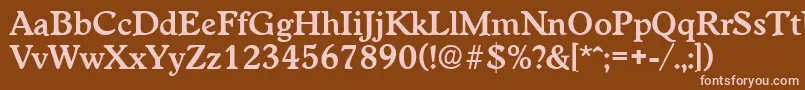 Police WorchesterDemibold – polices roses sur fond brun