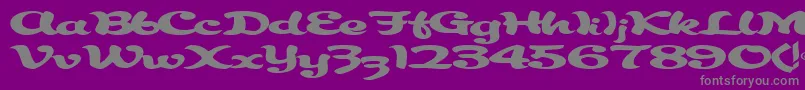 Abracadabra91RegularTtext Font – Gray Fonts on Purple Background