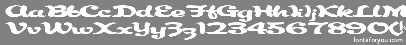 フォントAbracadabra91RegularTtext – 灰色の背景に白い文字