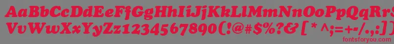 フォントAgcoo4 – 赤い文字の灰色の背景