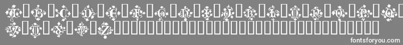 MandragoraTM Font – White Fonts on Gray Background