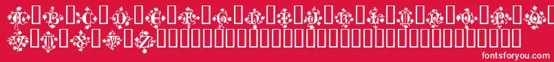 MandragoraTM Font – White Fonts on Red Background
