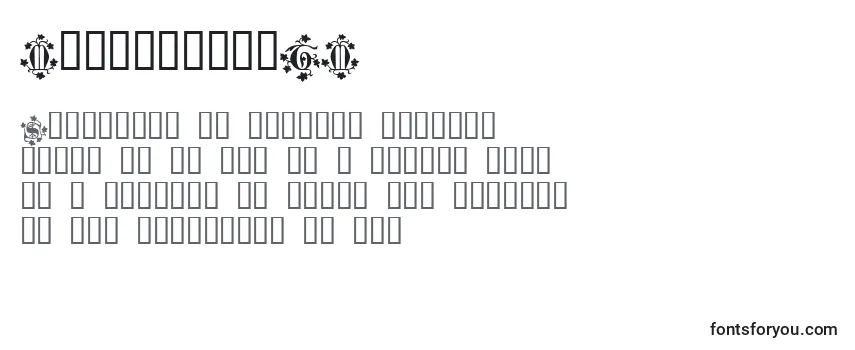 Обзор шрифта MandragoraTM