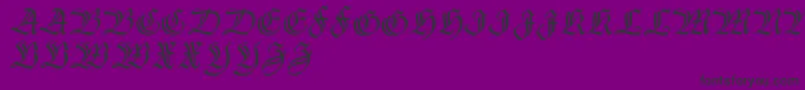 フォントThannhaeuserzier – 紫の背景に黒い文字