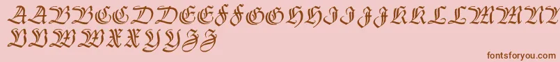 Thannhaeuserzier Font – Brown Fonts on Pink Background
