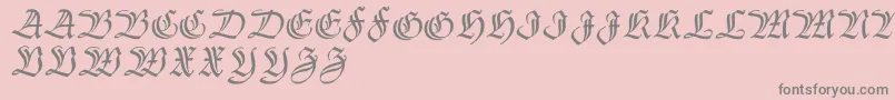 Thannhaeuserzier Font – Gray Fonts on Pink Background