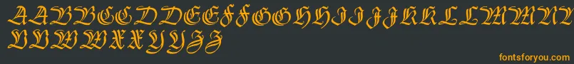 フォントThannhaeuserzier – 黒い背景にオレンジの文字