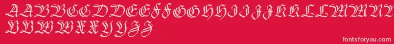 Thannhaeuserzier Font – Pink Fonts on Red Background