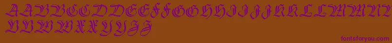 Thannhaeuserzier Font – Purple Fonts on Brown Background