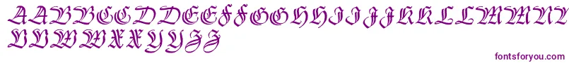 Thannhaeuserzier Font – Purple Fonts on White Background