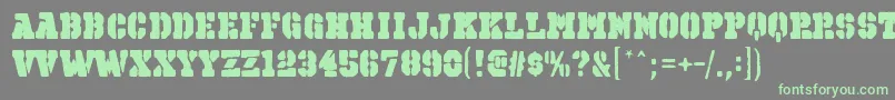 OctinspraypaintbblRegular Font – Green Fonts on Gray Background