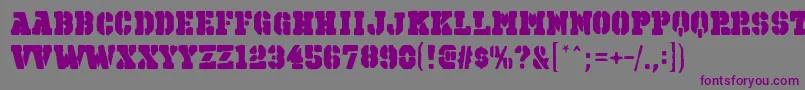 OctinspraypaintbblRegular Font – Purple Fonts on Gray Background