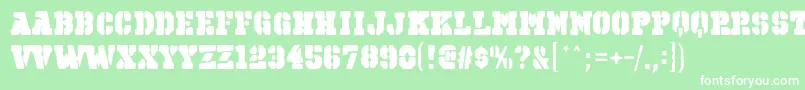 OctinspraypaintbblRegular Font – White Fonts on Green Background