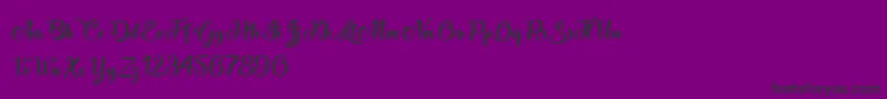 StardustAdventure-fontti – mustat fontit violetilla taustalla