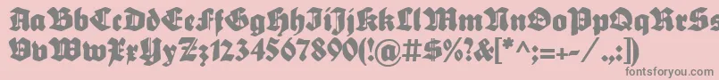 SebaldusGotisch Font – Gray Fonts on Pink Background