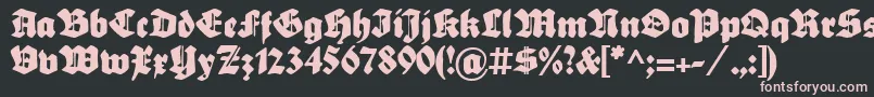 SebaldusGotisch Font – Pink Fonts on Black Background