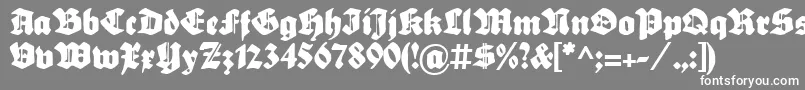 フォントSebaldusGotisch – 灰色の背景に白い文字