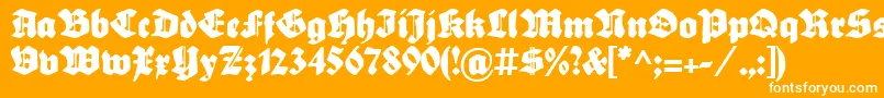 SebaldusGotisch Font – White Fonts on Orange Background