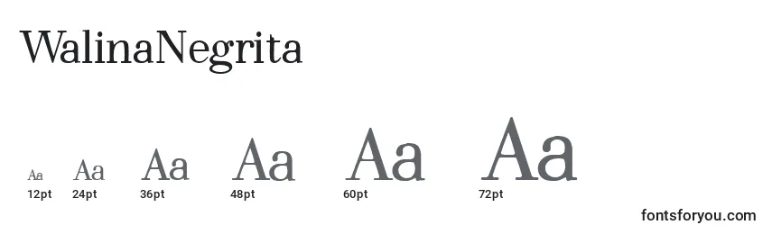 Размеры шрифта WalinaNegrita