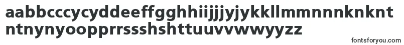 Шрифт PfcatalogBlack – руанда шрифты
