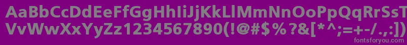 PfcatalogBlack Font – Gray Fonts on Purple Background