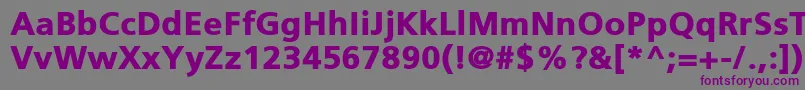 PfcatalogBlack Font – Purple Fonts on Gray Background