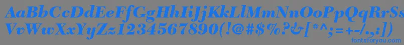 フォントTycoonBlackSsiBlackItalic – 灰色の背景に青い文字