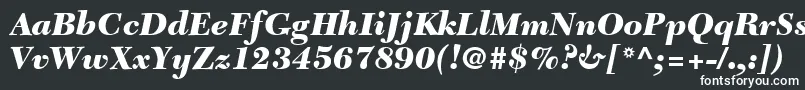 フォントTycoonBlackSsiBlackItalic – 白い文字