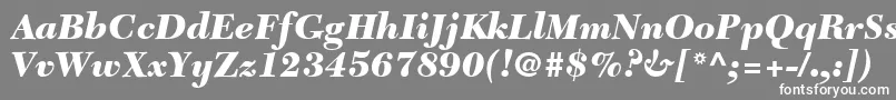 フォントTycoonBlackSsiBlackItalic – 灰色の背景に白い文字