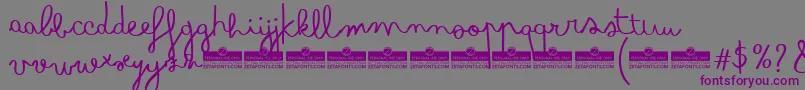 フォントBimboTrial – 紫色のフォント、灰色の背景