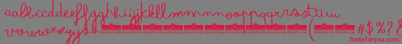 フォントBimboTrial – 赤い文字の灰色の背景
